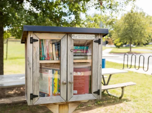 little free library